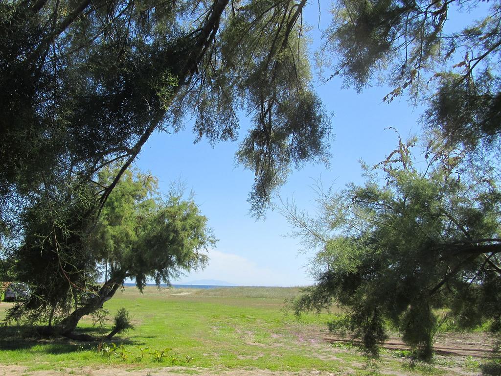 Camping Miami Plage Hotell Poggio Mezzana Exteriör bild